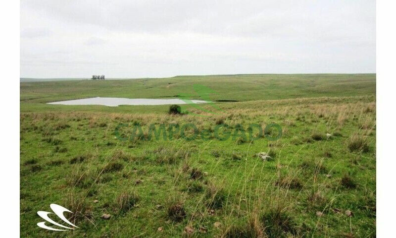 Fazenda contendo 2.000 hectares, localizada na Fronteira Oeste do RS