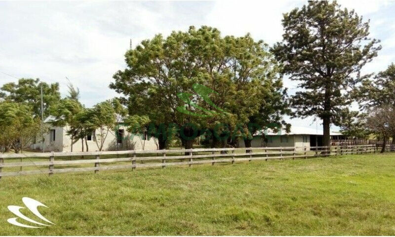 Fazenda contendo 2.000 hectares, localizada na Fronteira Oeste do RS