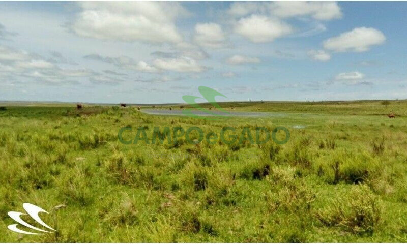 Fazenda contendo 2.000 hectares, localizada na Fronteira Oeste do RS