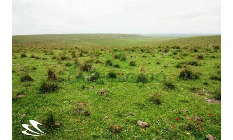 Fazenda contendo 2.000 hectares, localizada na Fronteira Oeste do RS