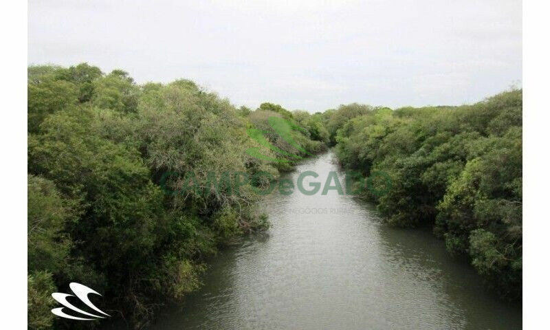 Fazenda contendo 2.000 hectares, localizada na Fronteira Oeste do RS