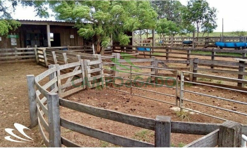 Fazenda contendo 2.000 hectares, localizada na Fronteira Oeste do RS