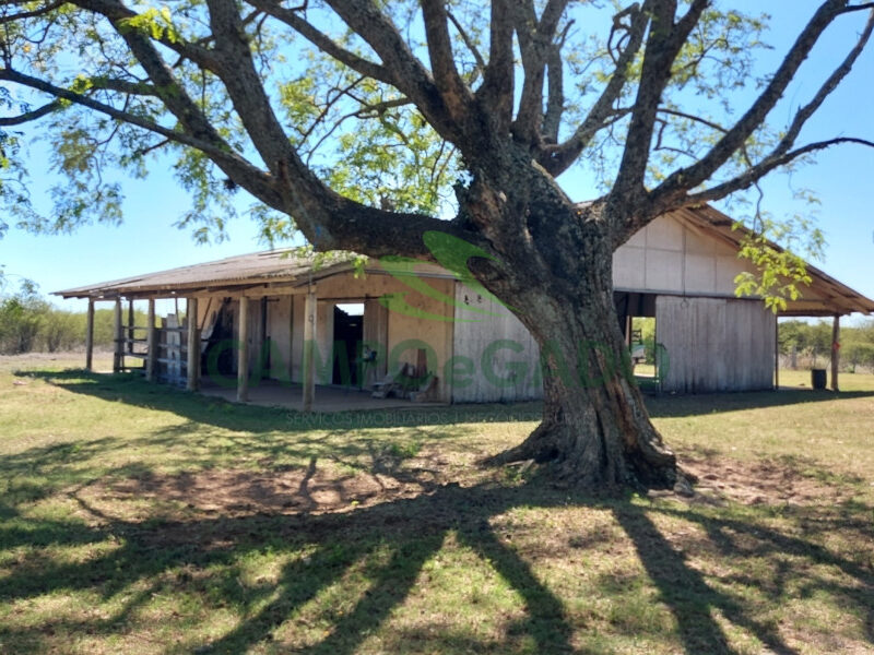 Fazenda Agropecuária com 2.600 ha