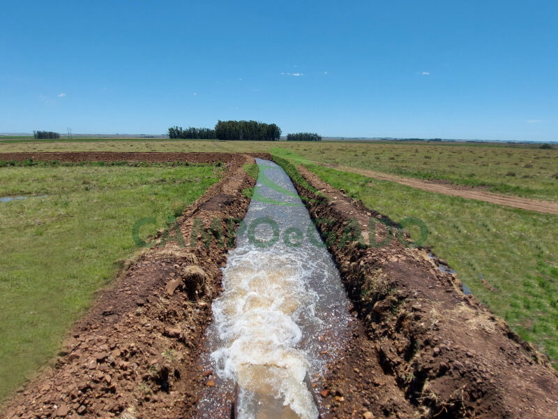 Fazenda Agropecuária com 2.600 ha