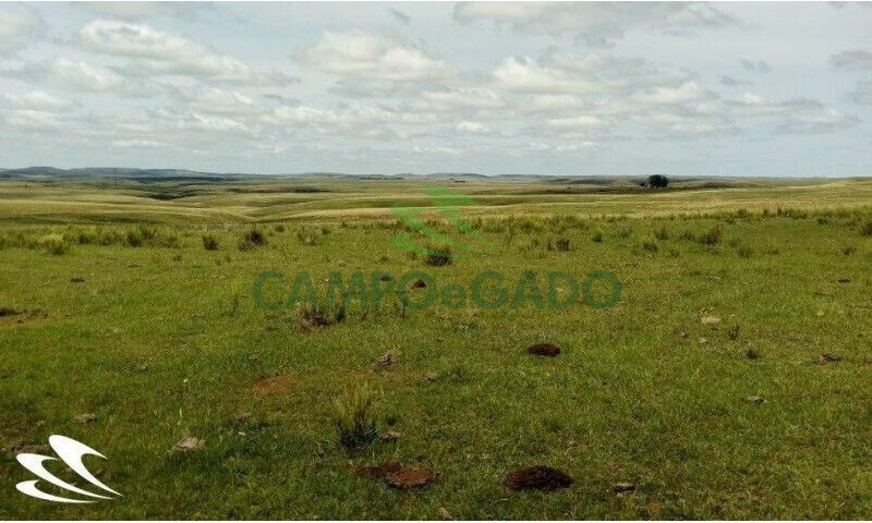 Fazenda contendo 2.000 hectares, localizada na Fronteira Oeste do RS