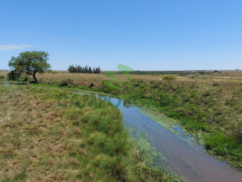 Fazenda Agropecuária com 2.600 ha