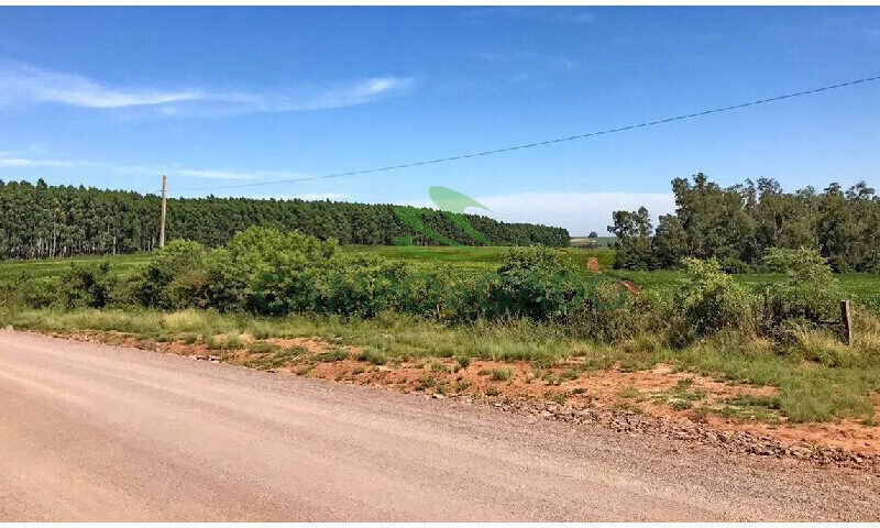 355 hectares em Manoel Viana