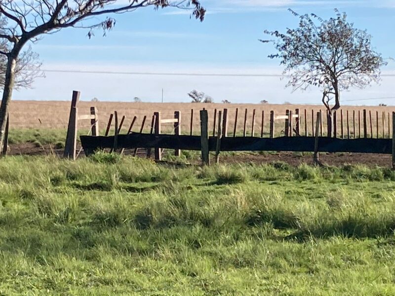 Excelente chacara a venda