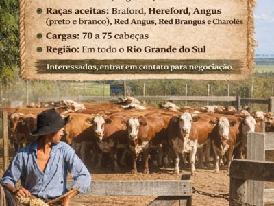 📢 COMPRAMOS NOVILHAS EUROPEIAS DEFINIDAS