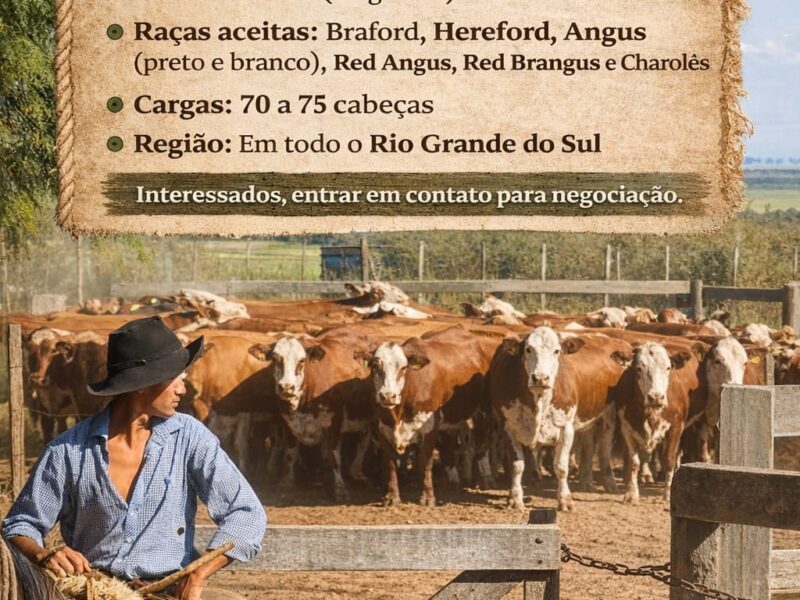 📢 COMPRAMOS NOVILHAS EUROPEIAS DEFINIDAS